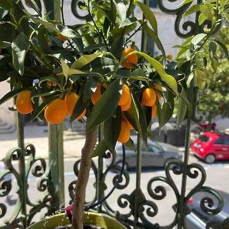 La Dimora Di Annika 奥里亚