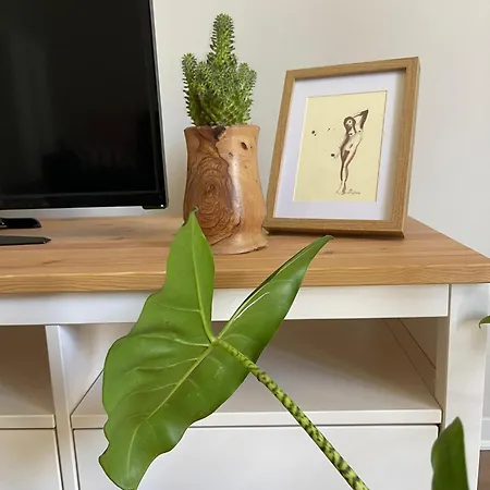 公寓 La Dimora Di Annika *